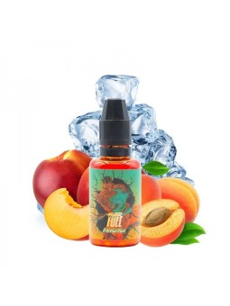 Concentré Kansetsu Fighter...